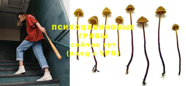 Альфа ПВП Арсеньев