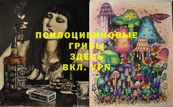 спиды Аркадак
