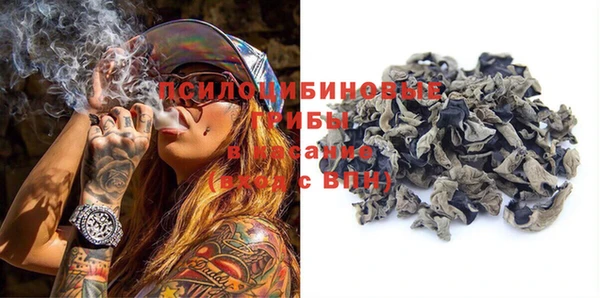 спиды Аркадак