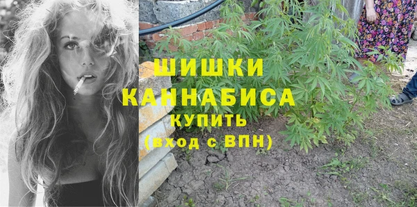 стаф Осинники