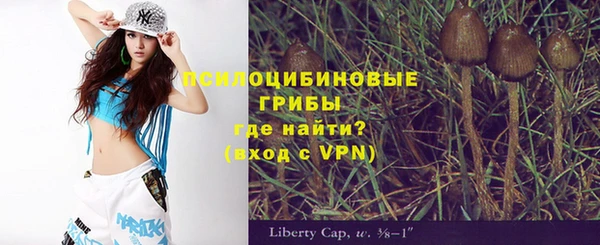 спиды Аркадак